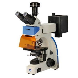 Microscope de fluorescence de Digital Trinocular IF-302