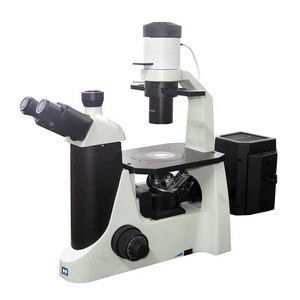 LED Trinocular a inversé le microscope de fluorescence avec la caméra couleur de CCD