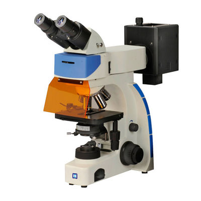 Microscope de fluorescence droit binoculaire IF-202